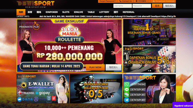 DEWISPORT DEWISPORT